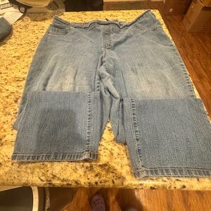 Catherines Classic Blue Jeans